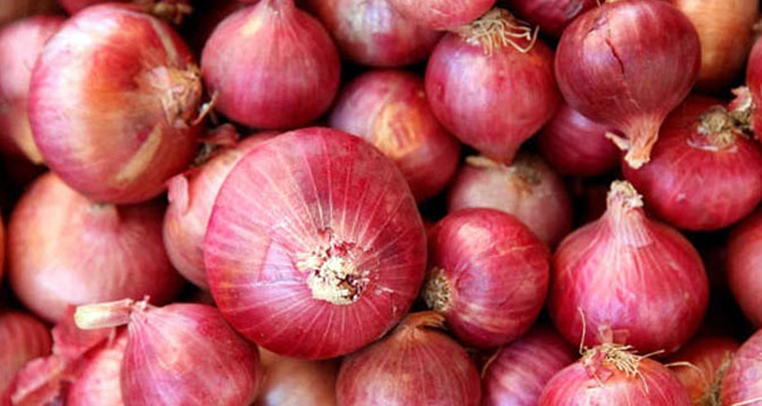 পেঁয়াজ