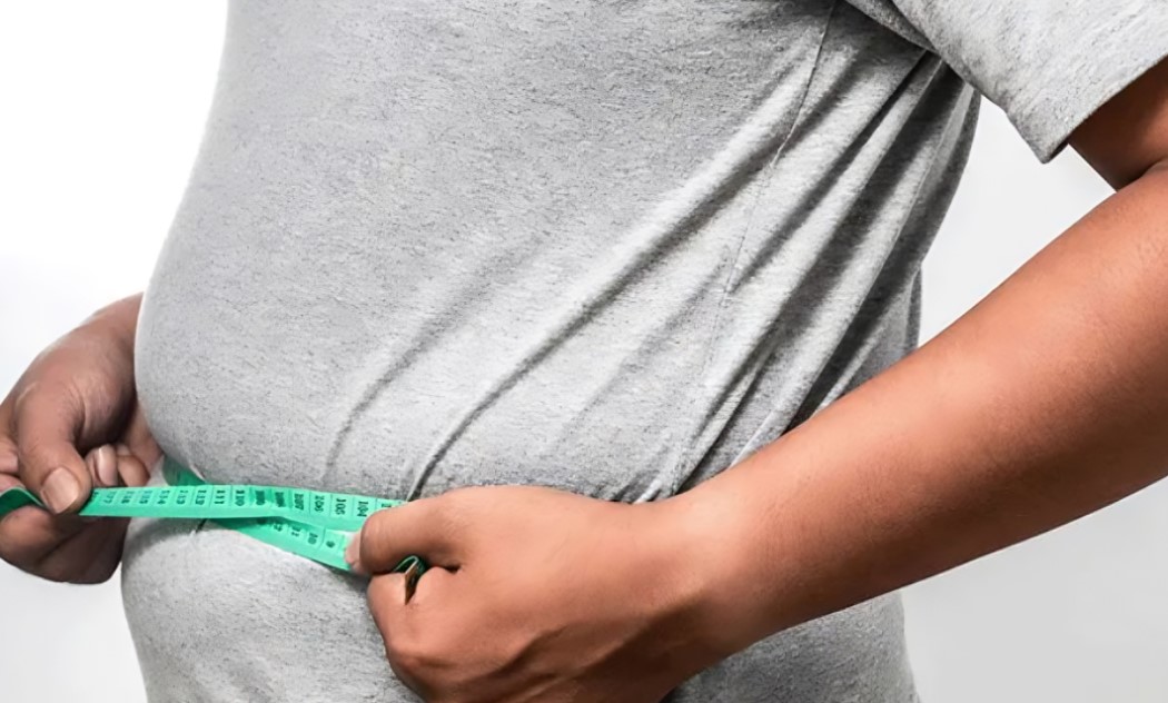 পেটের মেদ