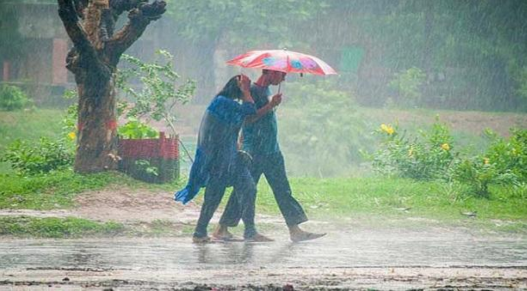 বৃষ্টি বা বজ্রসহ বৃষ্টি