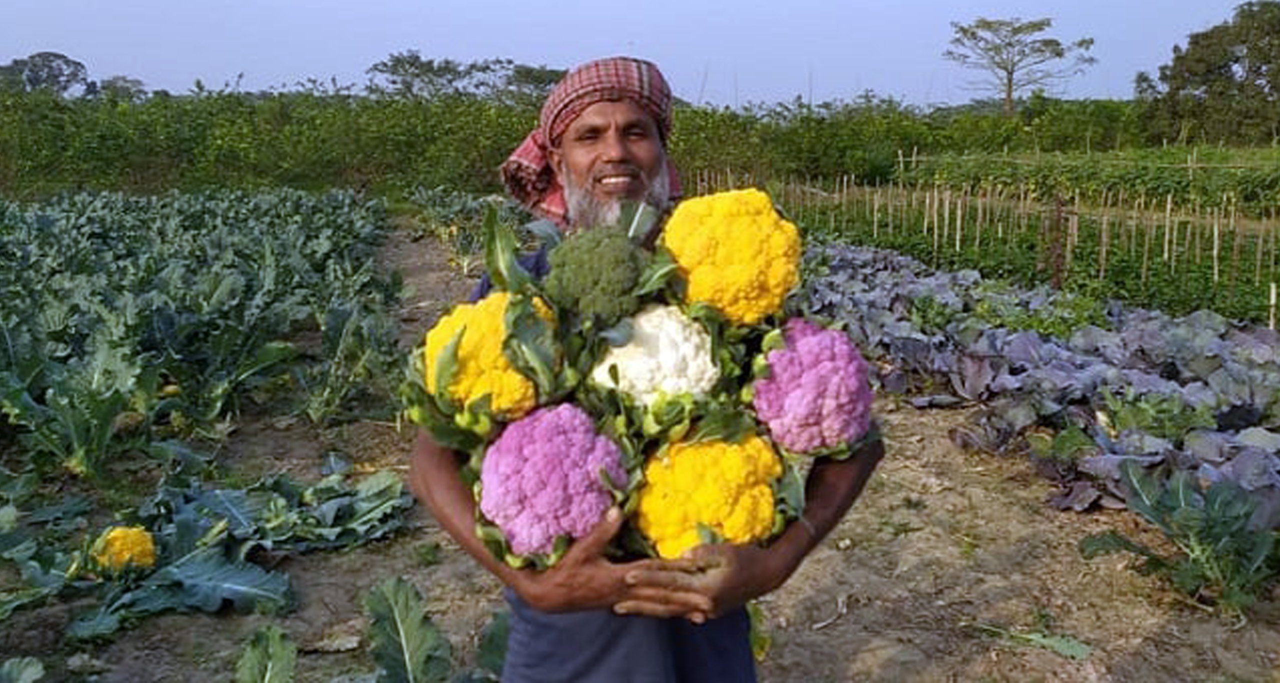 রঙিন কপি