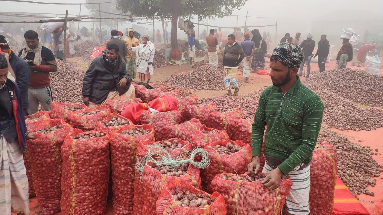 pabna-onion