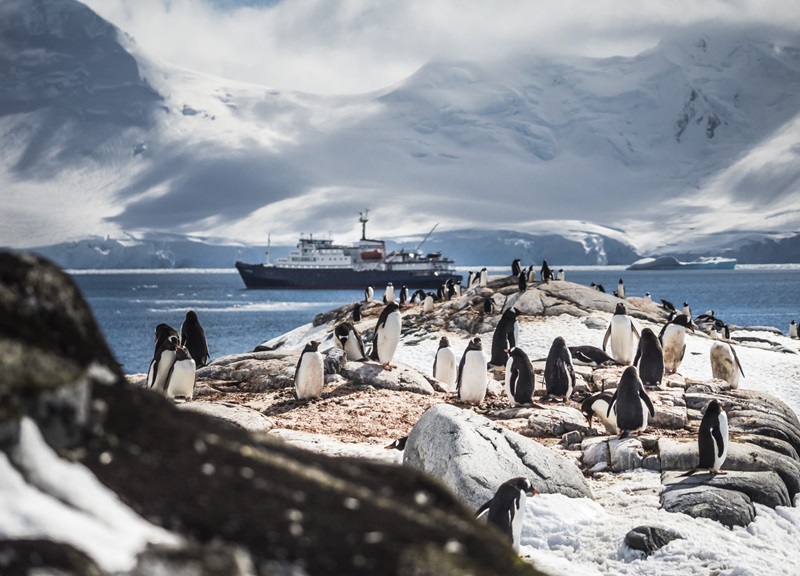 অ্যান্টার্কটিকার ভিন্ন ধরনের জলদস্যু ইকো-পাইরেট