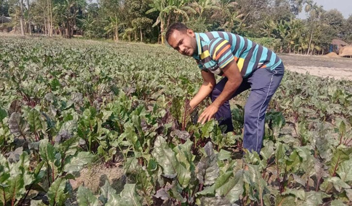 কৃষির অগ্রযাত্রাই ইঞ্জিনিয়ার আবু সুফির স্বপ্ন