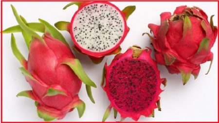 ড্রাগন ফল