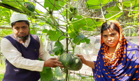 পতিত জমিতে সবজি চাষে কৃষাণী নাজমা সফল্য