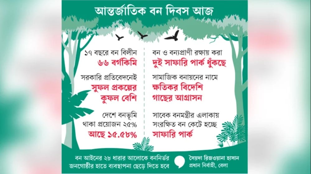 বন দিবস