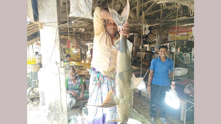 ১৬ কেজির বাঘাইড়