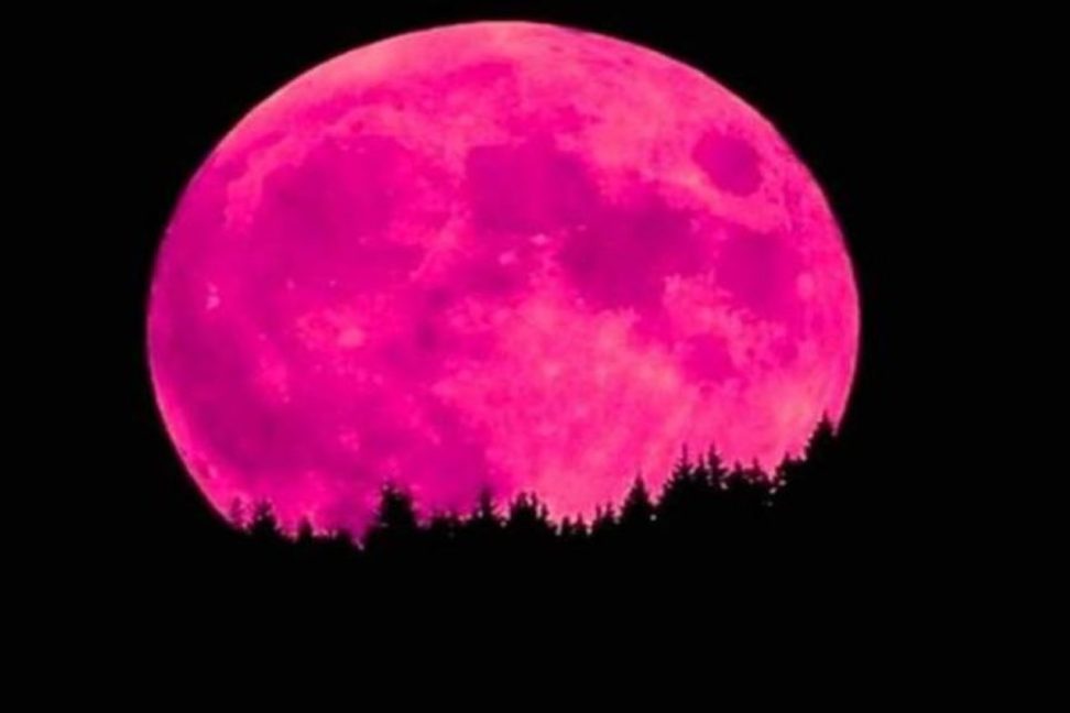 Full Pink Moon