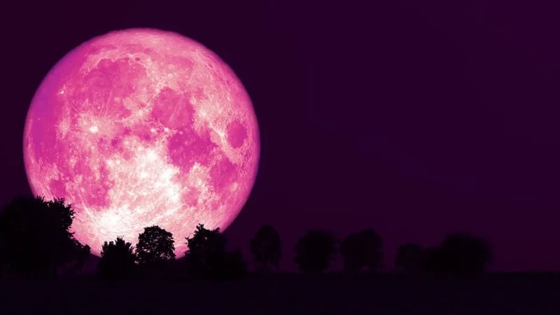 Pink Moon