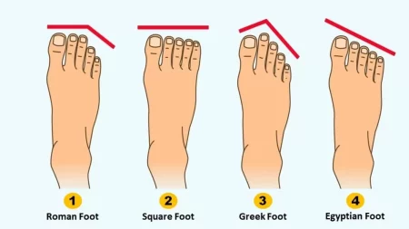 Foot Shape