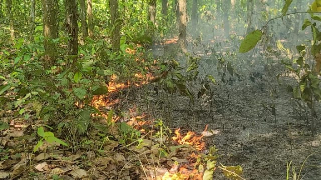 গাজীপুরে বনাঞ্চল পুড়ছে আগুনে, খোঁজ নেই বনকর্মীদের