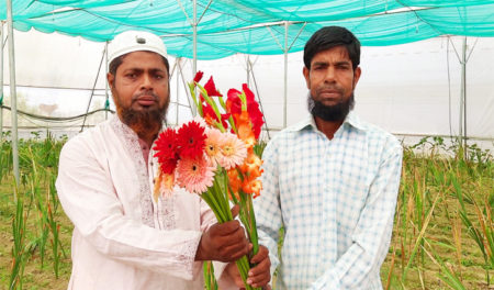 পলিশেড হাউজে এক সঙ্গে ফুল ও সবজি চাষ, সফল সানু মিয়া