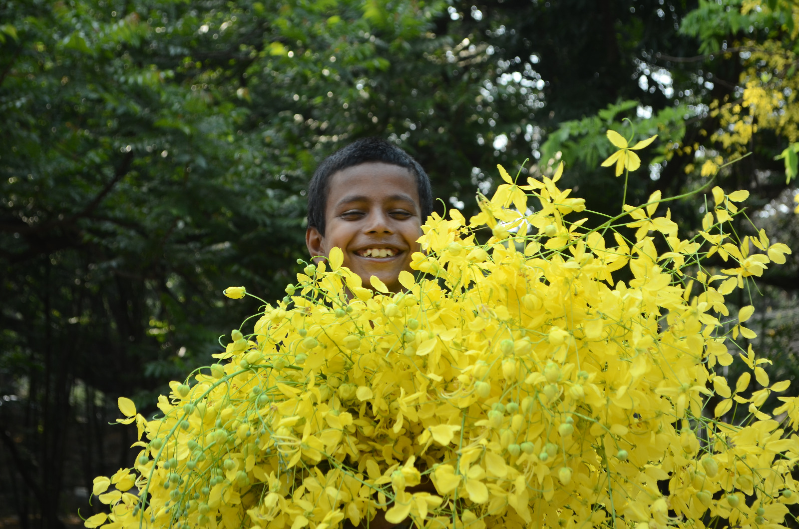 কৃষ্ণচূড়া