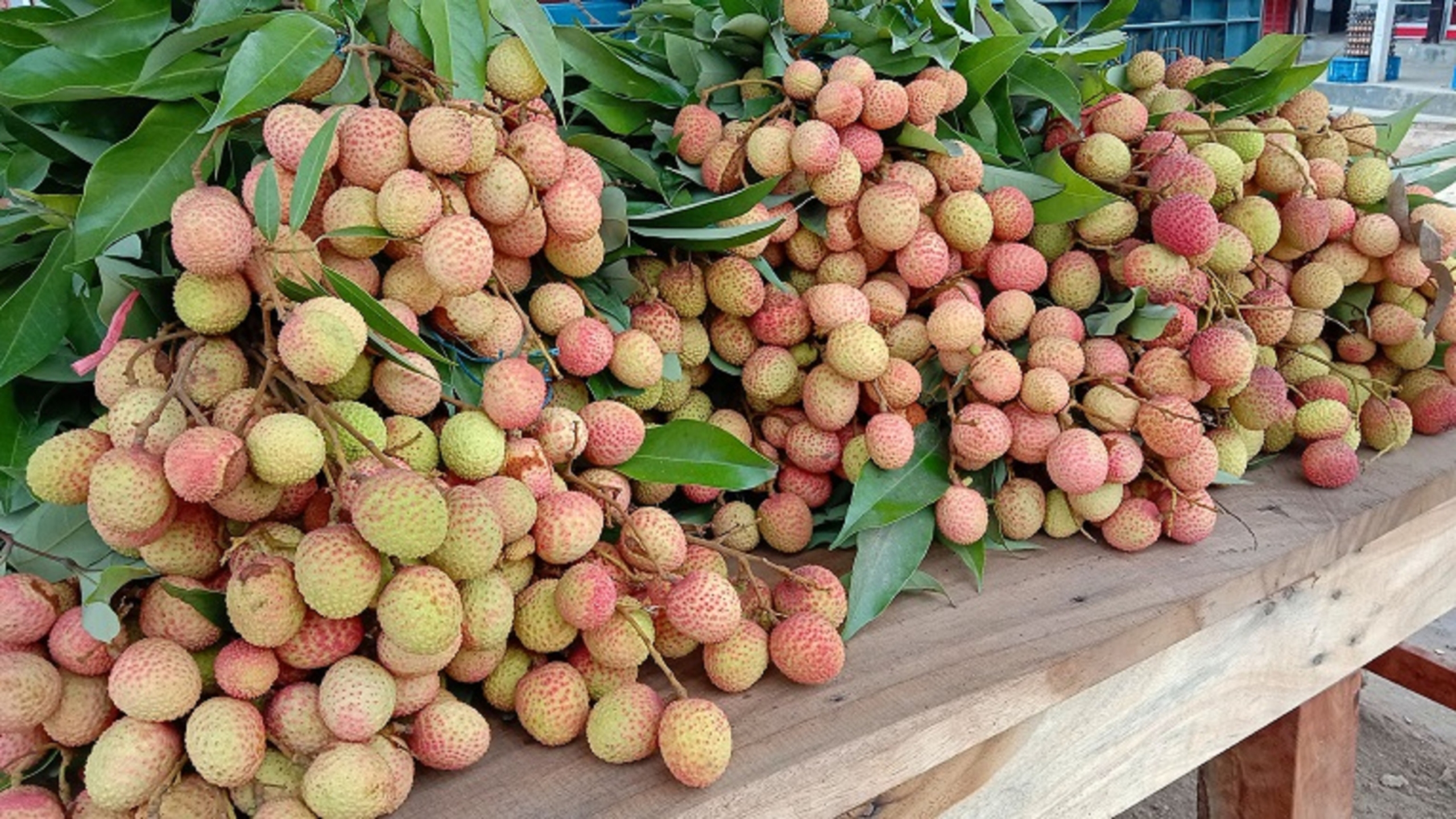 Lychee