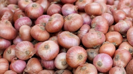 Onion