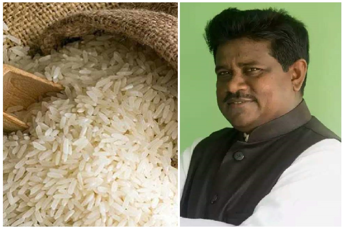 rice assimilation
