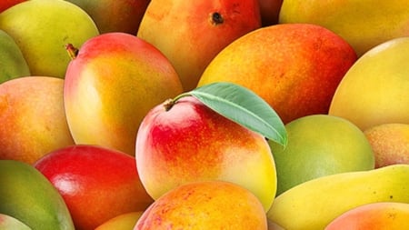 mango