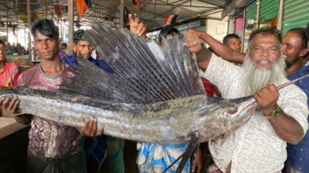 Pakhi Fish