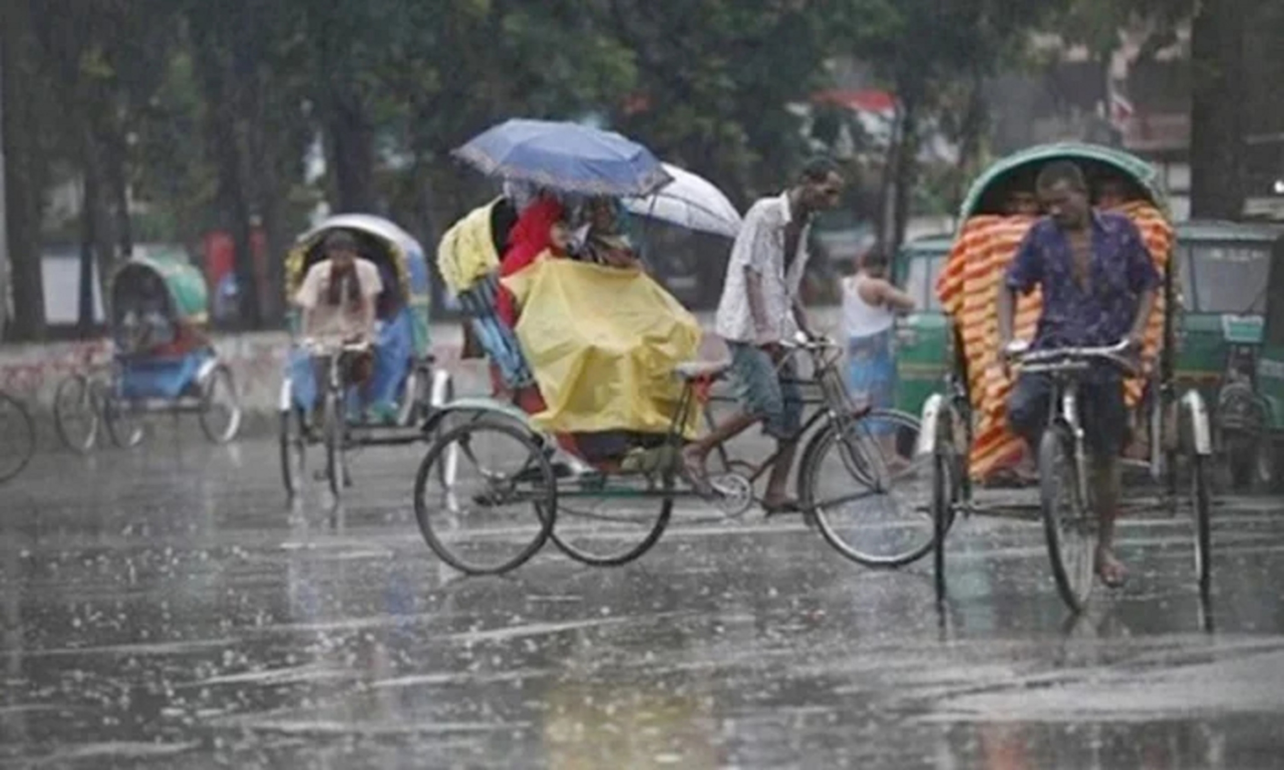 Rain