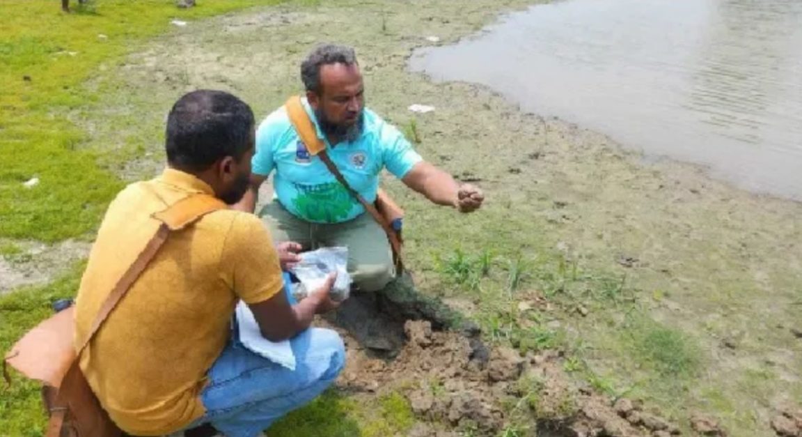 স্বর্ণের পাহাড়