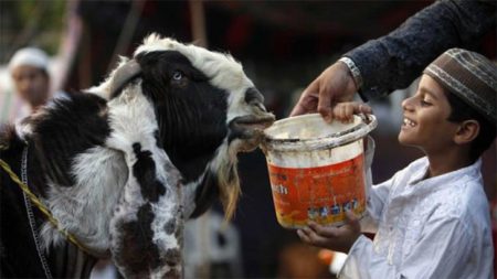 অমুসলিমদেরকে কুরবানির মাংস