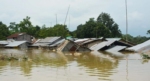 বন্যা
