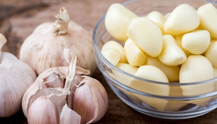 Garlic