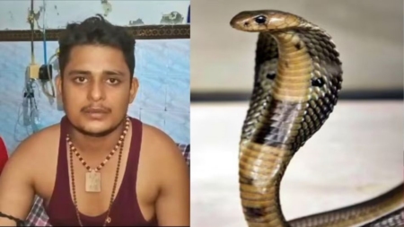 Snake Bite