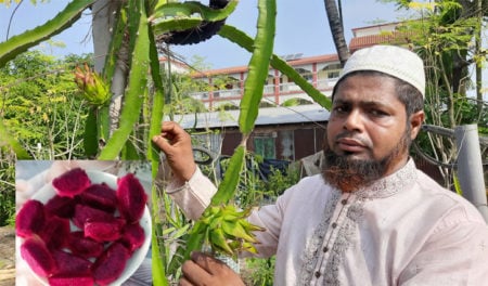 বাহুবলে কৃষি কর্মকর্তা শামীমের ছাদ বাগান