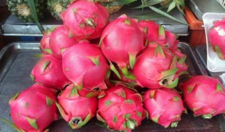 Dragon-Fruits