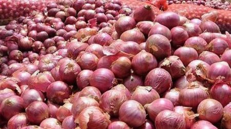 Onion