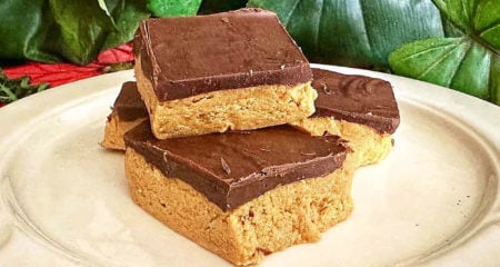 Protein Bar Recipe