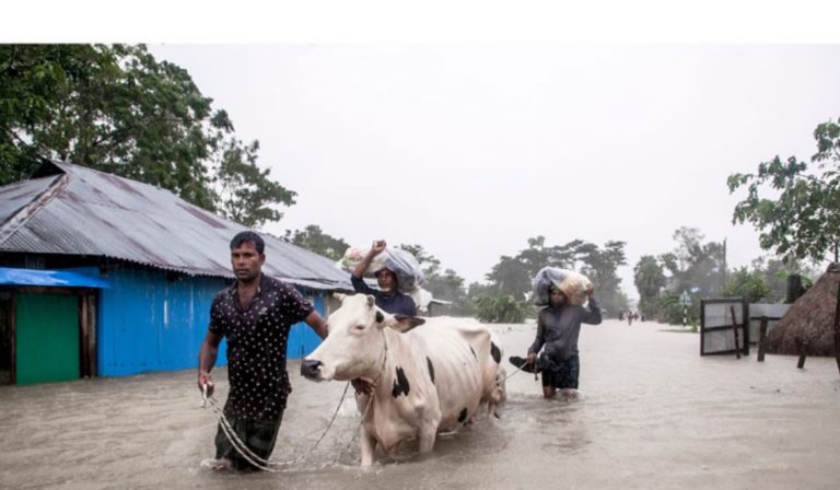 পাহাড়ি ঢলে ফেনী