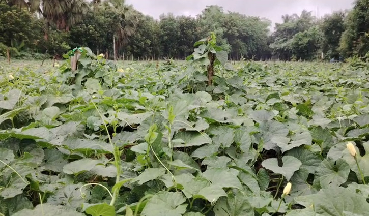 কালীগঞ্জের কাঁকরোল যাচ্ছে মধ্যপ্রাচ্যে-১