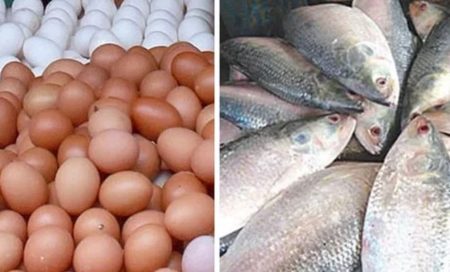 Egg-Hilsa