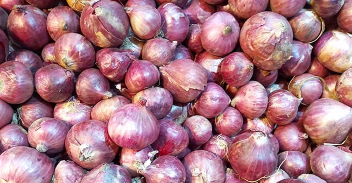 Onion