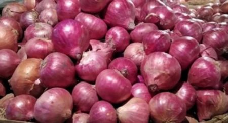 Onion