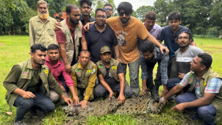 গাজীপুরে রিসোর্ট থেকে উদ্ধার হলো কুমির