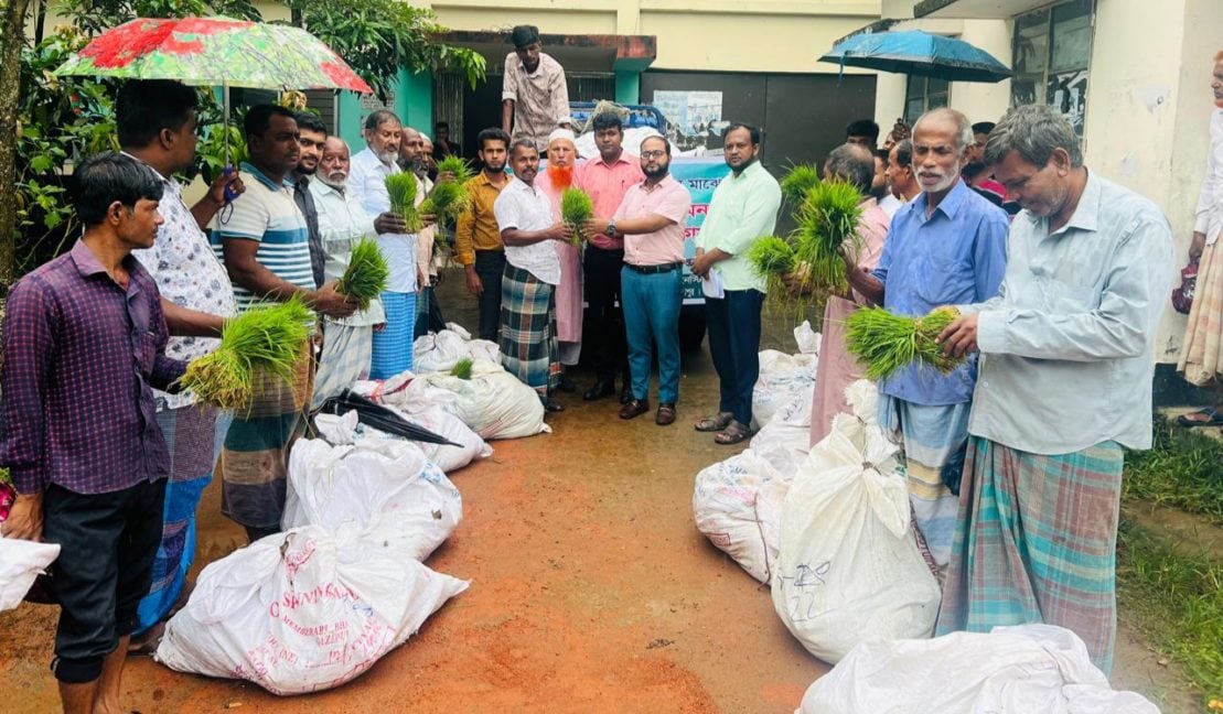 বন্যায় ক্ষতিগ্রস্ত ৪শতাধীত কৃষক পেল বিনার আমন ধানের চারা (1)