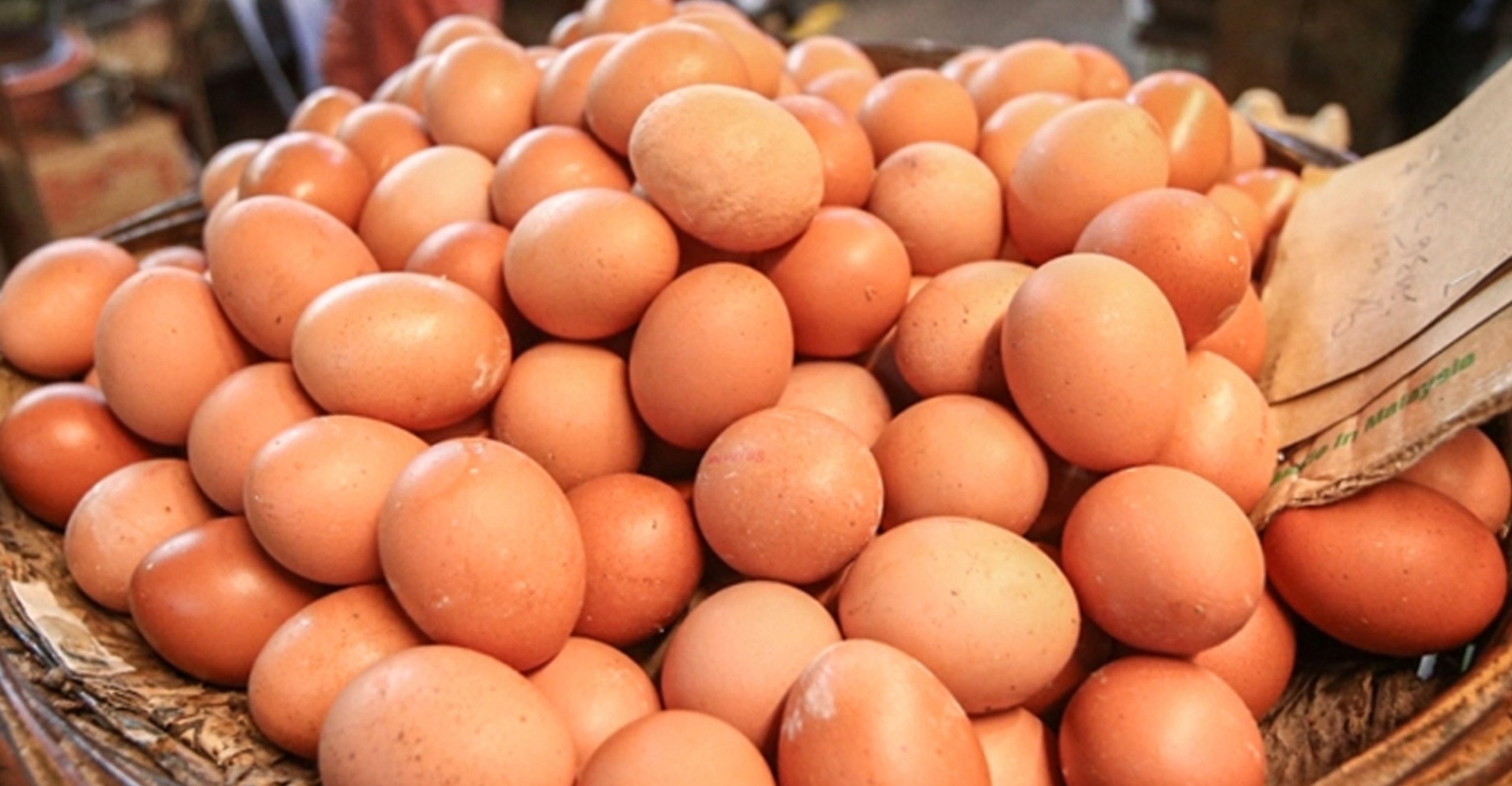 Egg