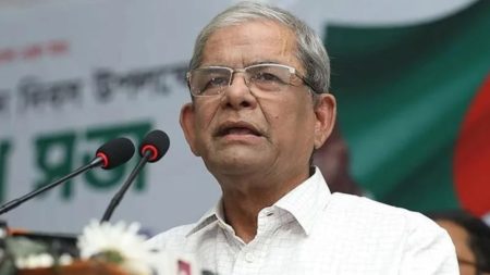 Mirza Fakhrul