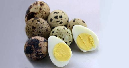 Quail eggs