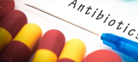 antibiotic