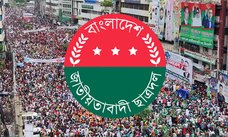 bnp