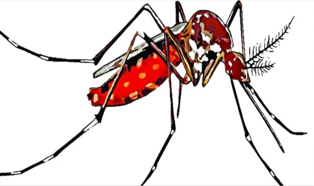 dengue