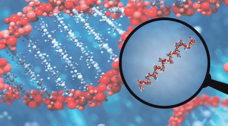 microRNA