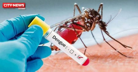 DENGUE