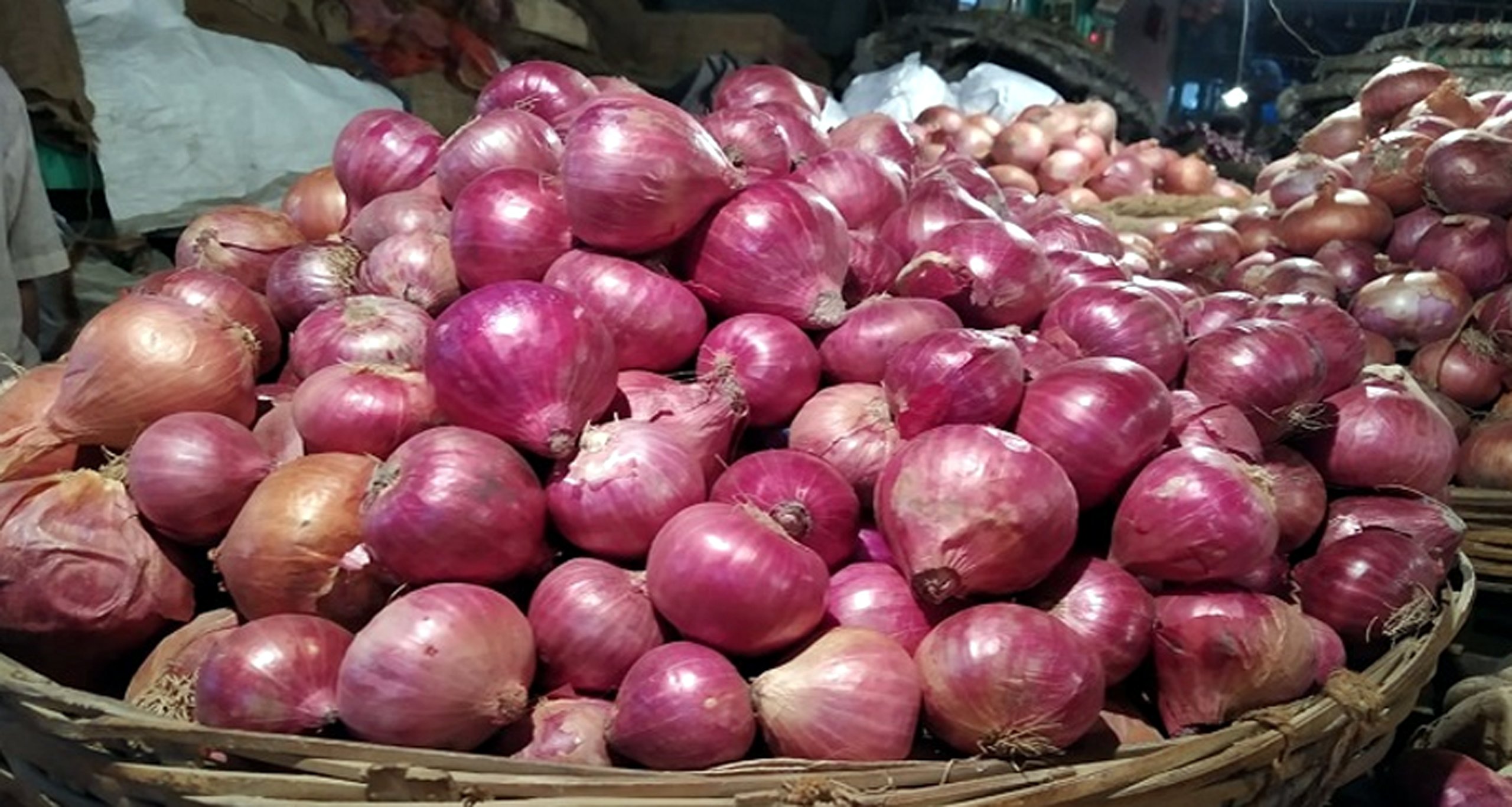 Onion