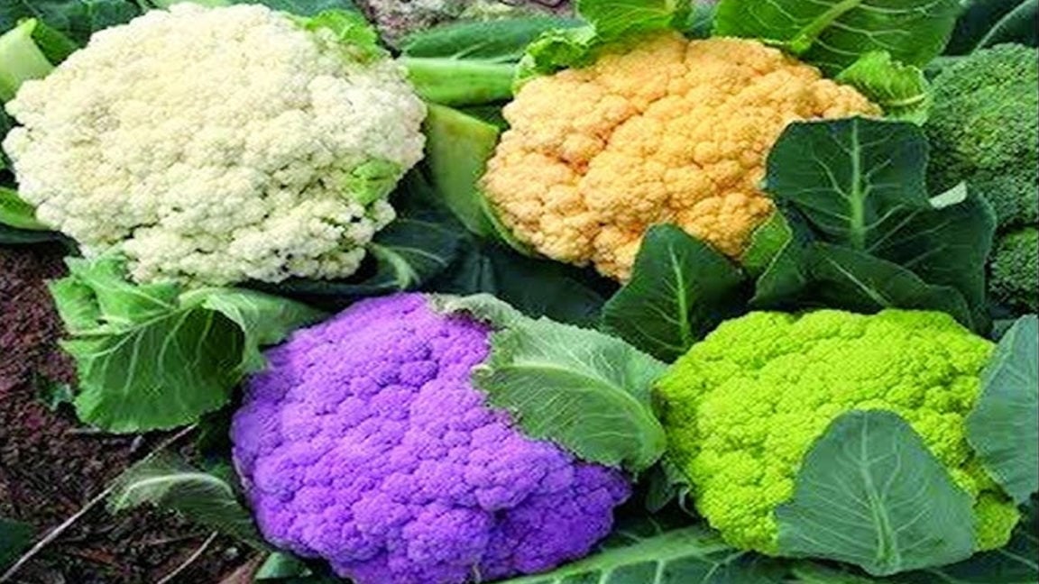 cauliflower