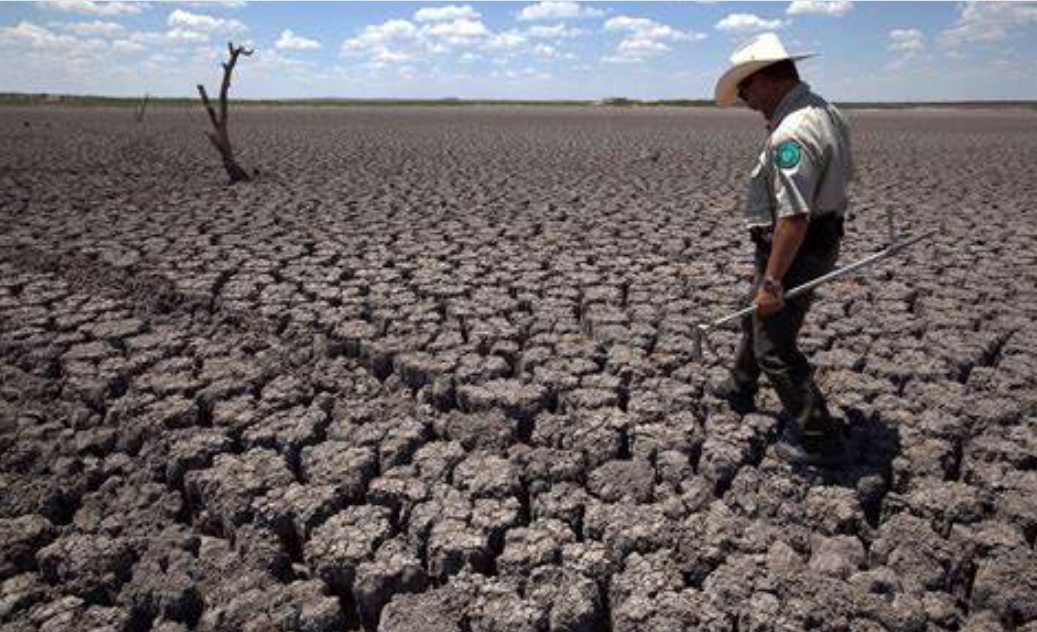 গ্লোবাল উষ্ণায়নের রেকর্ড ভাঙতে চলেছে ২০২৪: কোপার্নিকাস heat